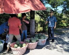 砀山吃瓜群众事件视频,一场网络视频引发的全民热议