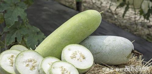 白瓜菜怎么吃最好呢视频,这样吃最健康！