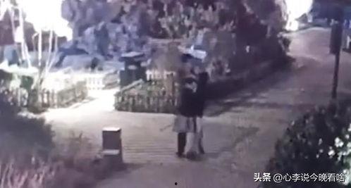 井研吃瓜视频完整版,揭秘背后真相，带你走进事件全貌