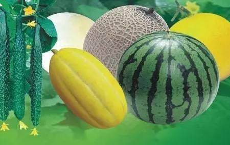 北寄吃瓜视频,揭秘娱乐圈幕后故事，带你领略明星真实生活