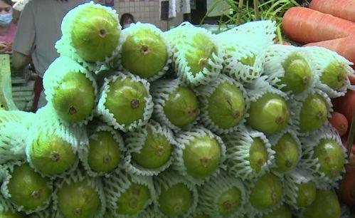 葫芦瓜买老了可以吃吗视频,教你巧变佳肴