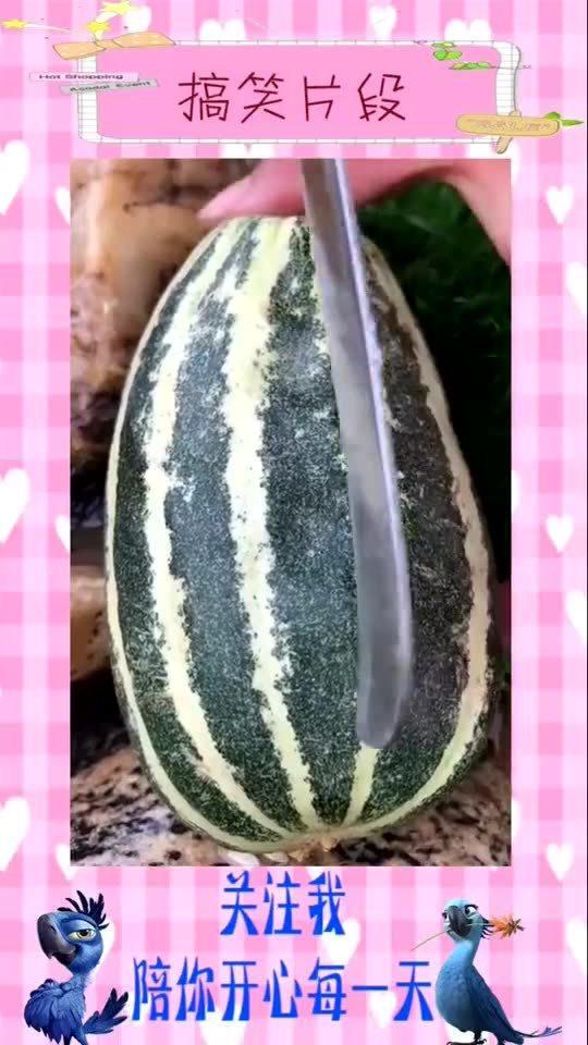 吃瓜视频配乐叫什么名字,揭秘“吃瓜”背后的音乐魅力