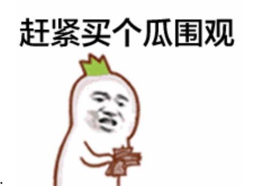 吃瓜视频群众摸口袋,揭秘网络舆论背后的真相